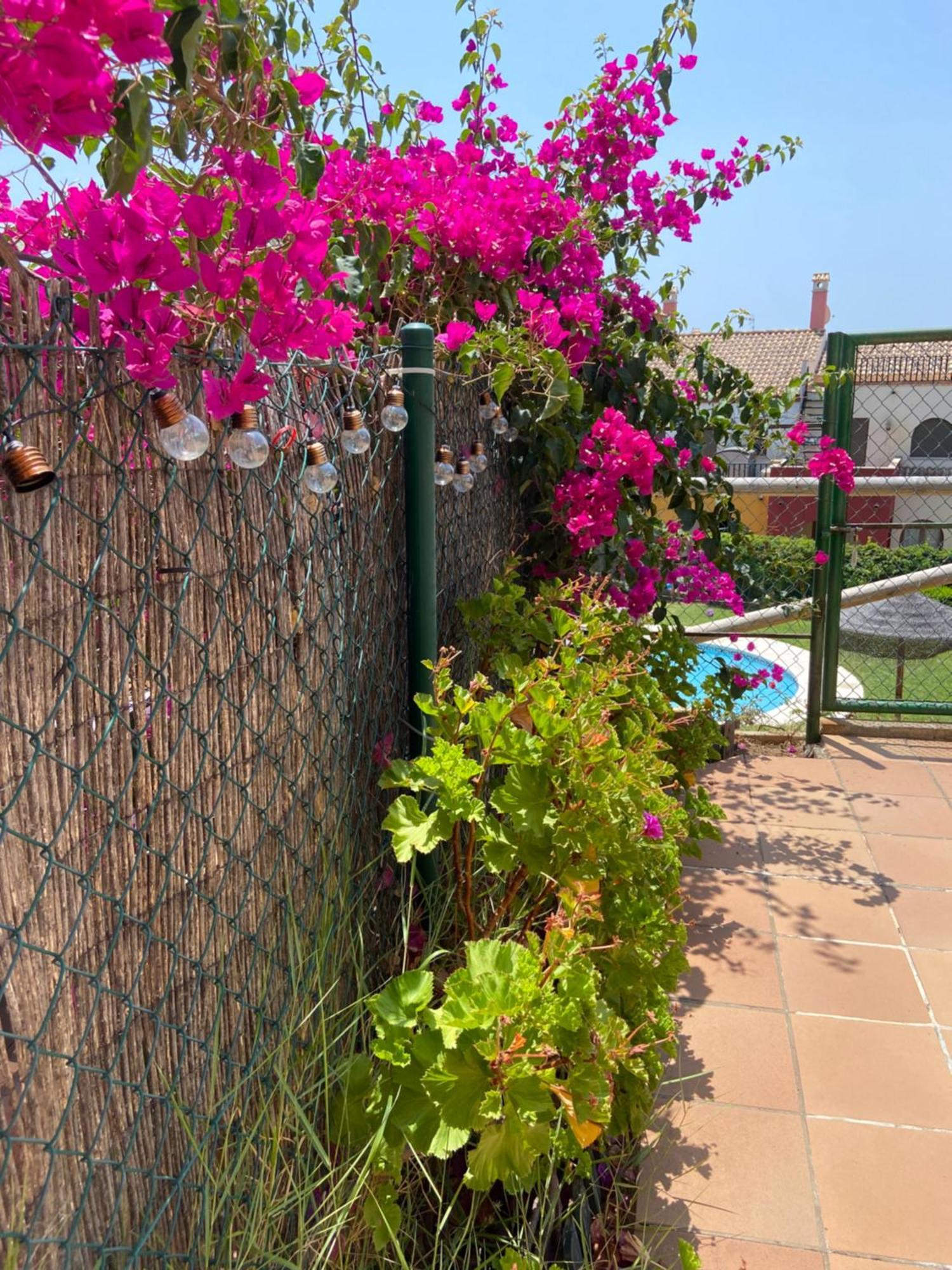 Appartement Adosado Con Vistas, Relajate Y Disfruta à Ayamonte Extérieur photo